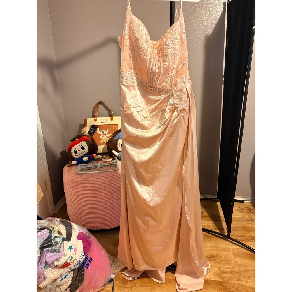 Occassion Dress - Blush Beaded and Sequin Applique B/I Bra Side Slit Sz 16W